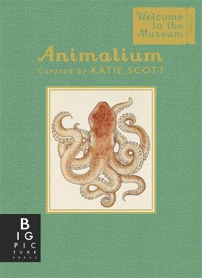 Animalium (Mini Gift Edition) book