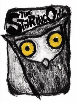 Staring Owl book