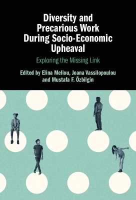 Diversity and Precarious Work During Socio-Economic Upheaval: Exploring the Missing Link by Elina Meliou