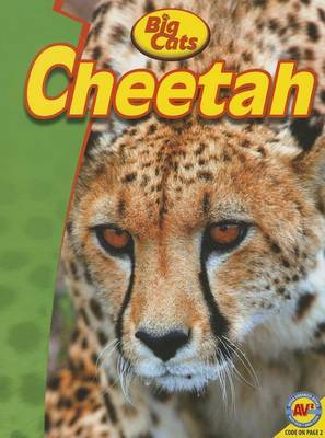 Cheetah by Steve Goldsworthy