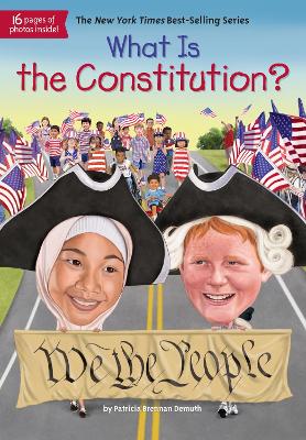 What Is the Constitution? by Patricia Brennan Demuth