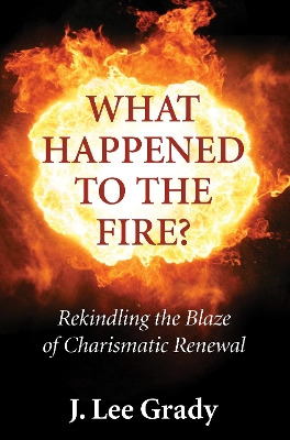 What Happened to the Fire? book