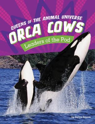 Orca Cows - Leaders of the Pod book