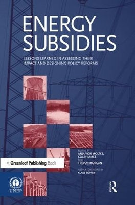 Energy Subsidies by Anja von Moltke