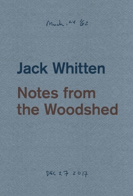 Jack Whitten: Notes from the Woodshed by Katy Siegel