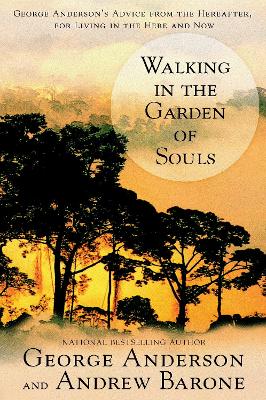 Walking in the Garden of Souls book