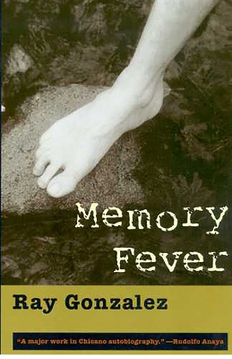 Memory Fever book