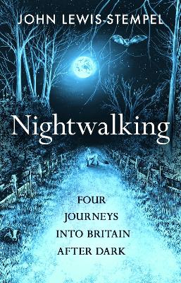 Nightwalking: Four Journeys into Britain After Dark book