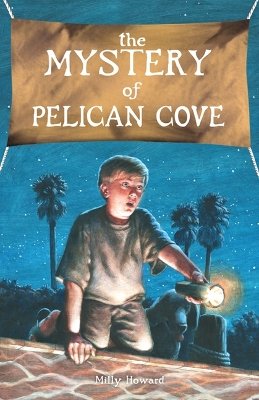 Mystery of Pelican Cove book