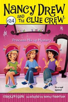 Princess Mix-up Mystery book