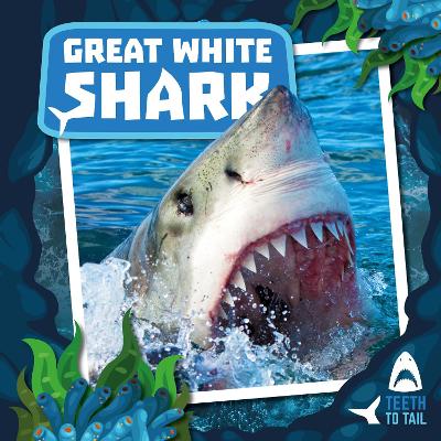 Great White Shark book