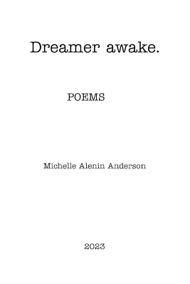Dreamer awake book