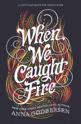 When We Caught Fire book
