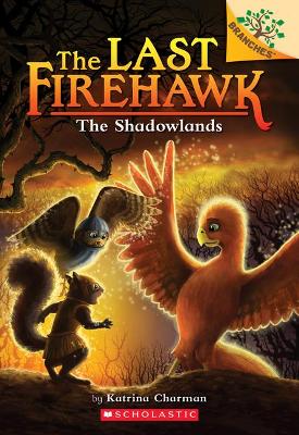 The Shadowlands: A Branches Book (the Last Firehawk #5): Volume 5 book