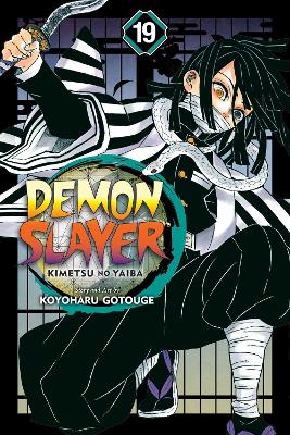Demon Slayer: Kimetsu no Yaiba, Vol. 19 book