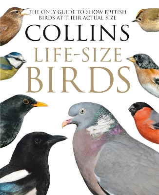 Collins Life-Size Birds by Paul Sterry