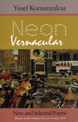 Neon Vernacular book