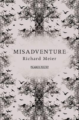 Misadventure by Richard Meier