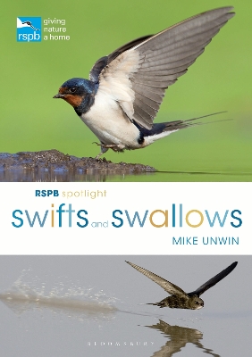 Rspb Spotlight Swifts and Swallows book