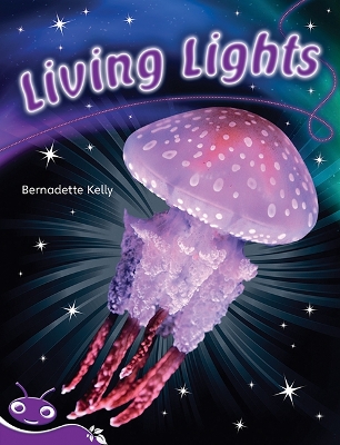 Bug Club Level 19 - Purple: Living Lights (Reading Level 19/F&P Level K) book