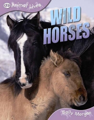 Wild Horses book