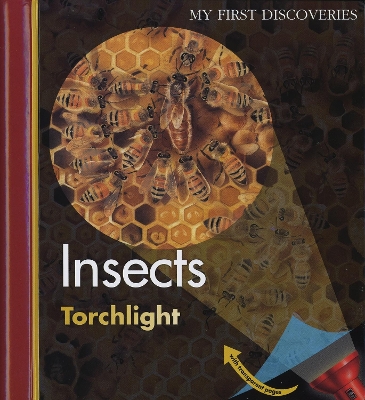 Insects by Sabine Krawczyk
