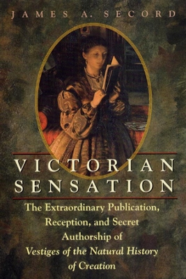 Victorian Sensation book