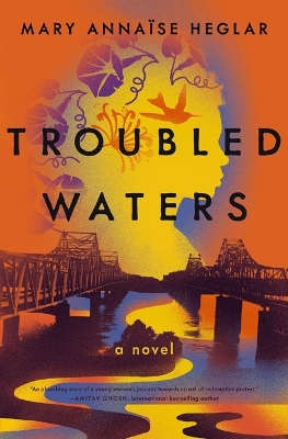 Troubled Waters book