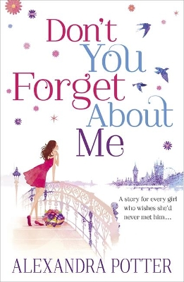 Don't You Forget About Me book