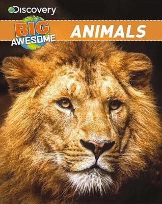 Discovery Big Awesome Animals by Dan Elish