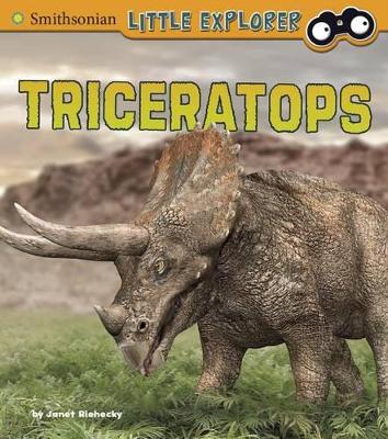 Triceratops by ,Janet Riehecky