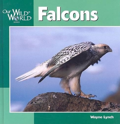 Falcons book