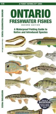 Ontario Fishes: A Folding Pocket Guide to All Known Native and Introduced Freshwater Species book