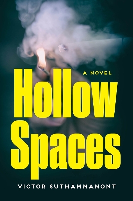 Hollow Spaces: A Novel book