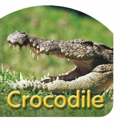 Crocodile book