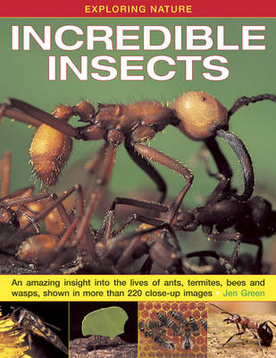 Exploring Nature: Incredible Insects book