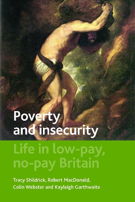 Poverty and insecurity book