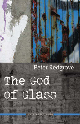 The God of Glass book