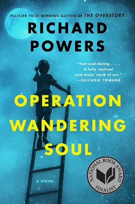 Operation Wandering Soul book