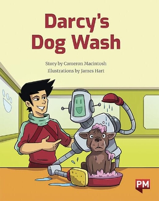 Darcy's Dog Wash book