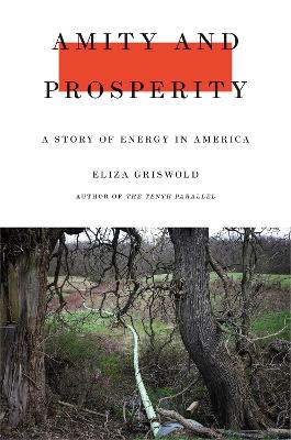 Amity and Prosperity by Eliza Griswold