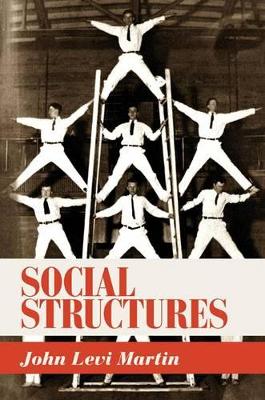 Social Structures book