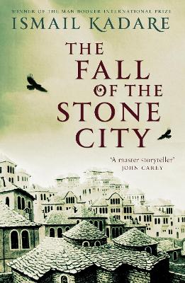 The Fall of the Stone City book