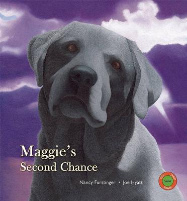 Maggie's Second Chance book