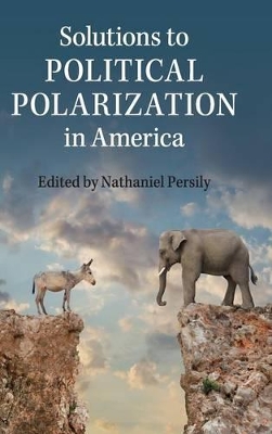 Solutions to Political Polarization in America by Nathaniel Persily