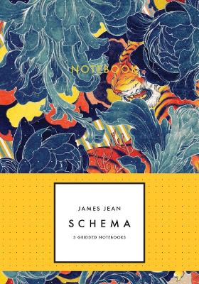 James Jean: Schema Notebook Collection book