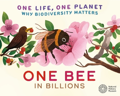 One Life, One Planet: One Bee in Billions: Why Biodiversity Matters by Sarah Ridley