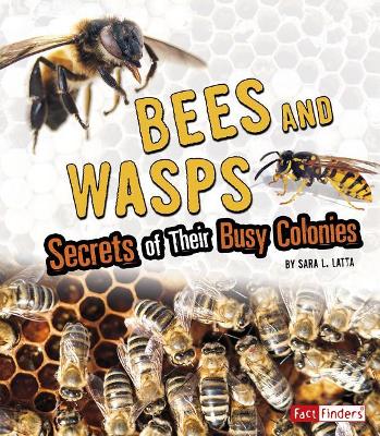Bees and Wasps: Secrets of Their Busy Colonies (Amazing Animal Colonies) by Sara L. Latta