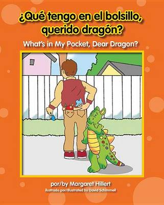 Qu' Tengo En El Bolsillo, Querido Dragn? / What's in My Pocket, Dear Dragon? book