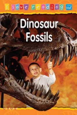 Dinosaur Fossils book